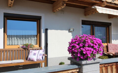 Christl: Flower, Plant, Building, Property, Flowerpot, Window, Wood, Houseplant, Lighting, Architecture