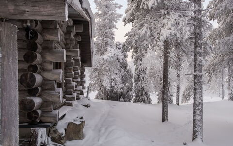 Rukakämmekkä: Apartment, Residential Area, Condominium, Urban Design, Balcony, Mixed-Use, Resort, Estate, Hotel, Shade