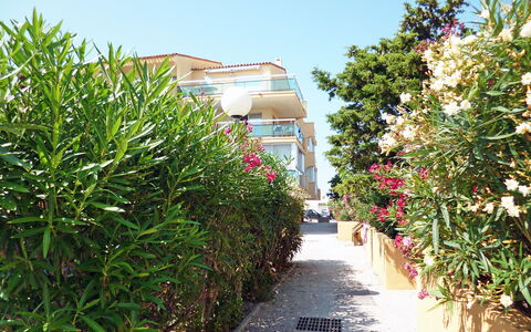 Les Flots Bleus: Vegetation, Tree, Plant, Flower, Shrub, Botany, Real Estate, Woody Plant, Leaf, Garden