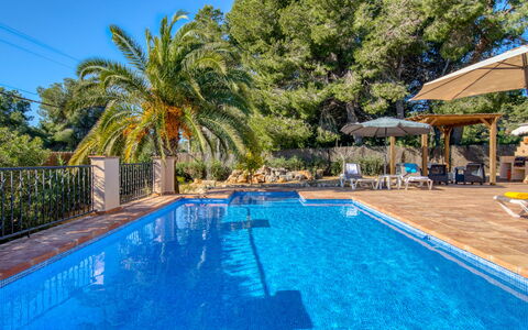 Pomeraj: Water, Plant, Property, Swimming Pool, Blue, Azure, Tree, Chair, Body Of Water, Shade