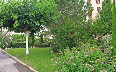 Fréjus 910: Flower, Plant, Property, Building, Green, Nature, Tree, Window, Vegetation, Grass
