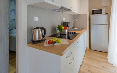 Accommodation:&nbsp;Standard 650.12