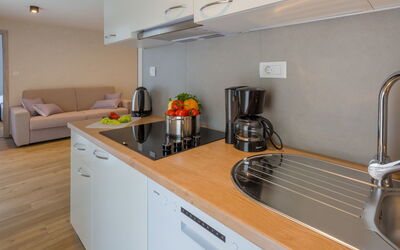 Accommodation:&nbsp;Standard 650.12
