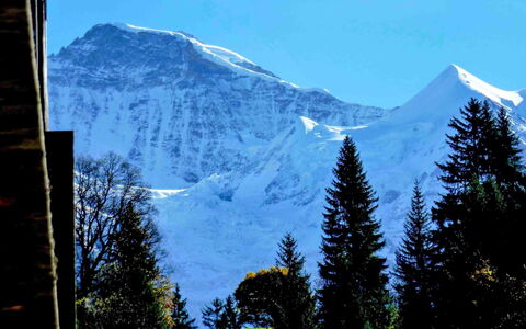 Wengen 11: Sky, Mountain, Snow, Ecoregion, World, Natural Landscape, Tree, Azure, Highland, Larch
