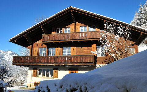 Drei Tannen: Sky, Building, Snow, Plant, Window, House, Wood, Tree, Slope, Larch