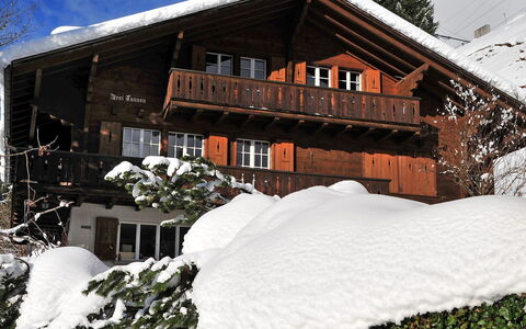 Drei Tannen: Snow, Winter, House, Property, Home, Freezing, Building, Roof, Cottage, Real Estate