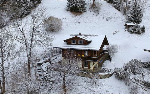 Drei Tannen: Snow, Winter, Freezing, Tree, Frost, House, Home, Branch, Building, Landscape