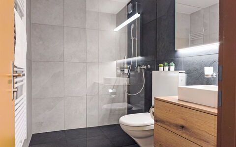 Wengen 19: Flooring, Floor, Interior Design, Plumbing Fixture, Bathroom, Bathroom Cabinet, Toilet, Sink, Tap, Plumbing