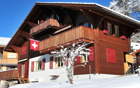 Eigersonne: Building, Sky, Window, Snow, Slope, House, Wood, Tree, Cottage, Siding
