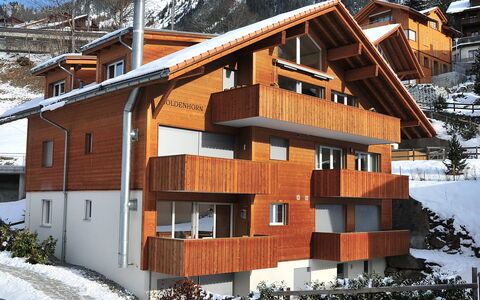 Wengen 22: Snow, Building, Window, Plant, Wood, House, Tree, Slope, Biome, Cottage