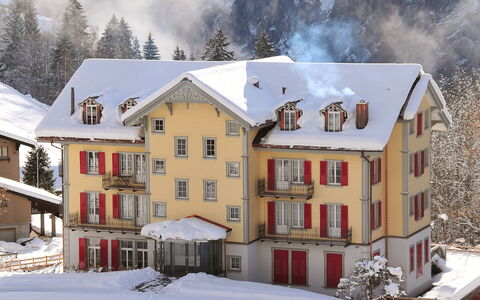 Mittaghorn Apt.8: Building, Property, Snow, Window, Plant, World, House, Architecture, Biome, Tree