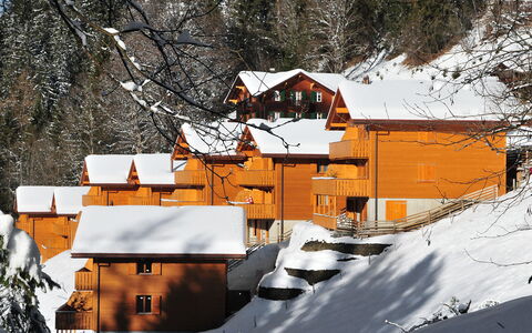 Wengen 34: Building, Snow, Window, World, Slope, Mountain, Tree, House, Freezing, Biome
