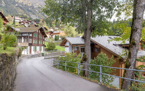 Roossihuus Apt.s: Tree, House, Home, Rural Area, Human Settlement, Hill Station, Mountain Range, Slope, Village
