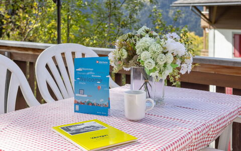 Schweizerhof Apt. S: Table, Furniture, Property, Tableware, Plant, Flower, Chair, Tablecloth, Green, Azure