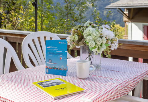 Schweizerhof Apt. S: Table, Furniture, Property, Tableware, Plant, Flower, Chair, Tablecloth, Green, Azure