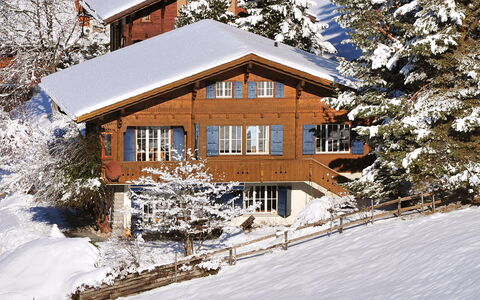 Arche: Snow, Plant, Building, Property, Window, Twig, Tree, House, Branch, Slope