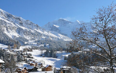 Wengen 602: Sky, Mountain, Snow, Slope, Natural Landscape, Tree, Freezing, Mountainous Landforms, Landscape, Mountain Range