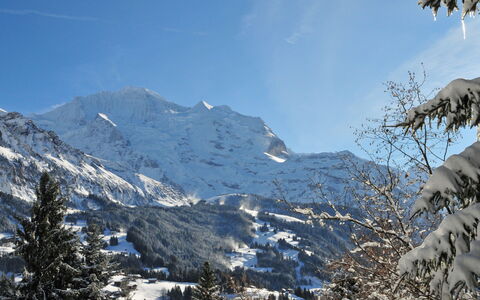Wengen 602: Sky, Snow, Mountain, Cloud, Slope, Natural Landscape, Plant, Terrain, Tree, Freezing