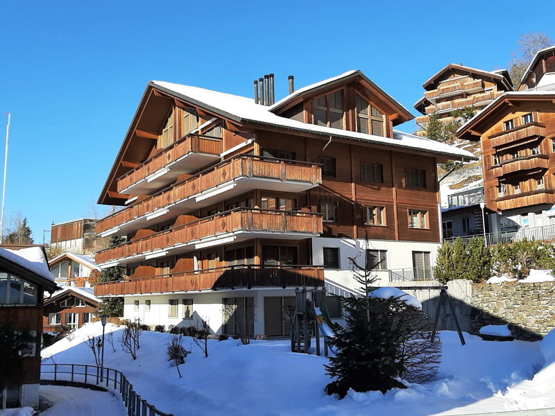 Wengen 602