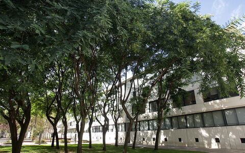 Vila Olimpica Pamplona: Tree, Woody Plant, Property, Plant, Architecture, House, Building, Facade, Urban Design, City