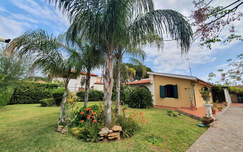 Orchidea: Woody Plant, Garden, Shade, Hacienda, Landscaping, Yard, Plantation, Backyard
