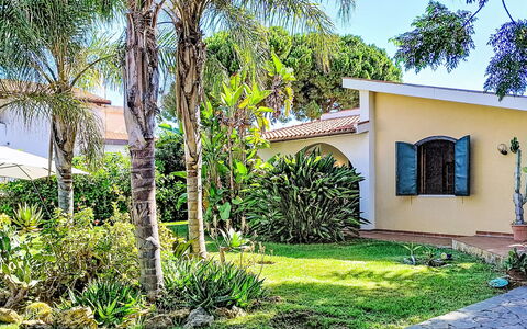 Orchidea: Tree, Shrub, Residential Area, Garden, House, Home, Shade, Woody Plant, Landscaping