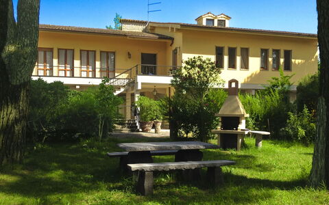Villa Quattro Mori: Garden, Lawn, Landscaping, Shade, Outdoor Furniture, Park, Hacienda, Estate, Yard, Eco Hotel