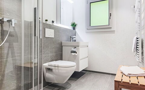 Bergkristall Apt. P: Interior Design, Bathroom, Flooring, Plumbing Fixture, Toilet, Floor, Sink, Toilet Seat, Plumbing, Tap