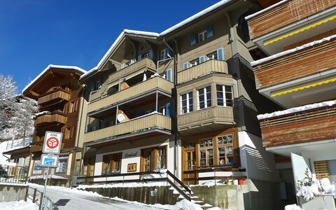 Central: Building, Window, Residential Area, Apartment, Neighbourhood, Home, Human Settlement, Condominium, Mixed-Use, Sash Window