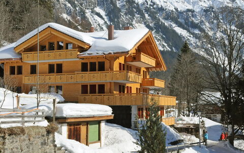 Bergfrieden Apt. 2: Snow, Building, Window, Mountain, Plant, House, Tree, Slope, Freezing, Biome
