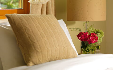 Pairc Na Saileac: Flower, Property, Furniture, Comfort, Plant, Textile, Rectangle, Interior Design, Wood, Yellow