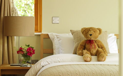 Pairc Na Saileac: Furniture, Plant, Property, Window, Comfort, Wood, Textile, Houseplant, Lighting, Interior Design