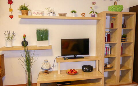 Walter: Property, Furniture, Plant, Houseplant, Shelf, Shelving, Orange, Wood, Interior Design, Computer Desk