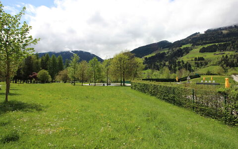 Walter: Mountainous Landforms, Green, Mountain, Tree, Grass, Natural Environment, Nature, Hill, Grassland, Natural Landscape