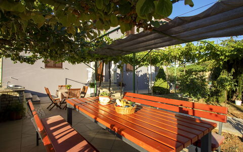 Olivia: Table, Sky, Property, Furniture, Plant, Chair, Azure, Shade, Interior Design, Architecture