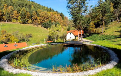 Feichtinger