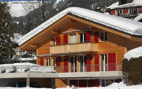 Chalet Almisgässli: Snow, Building, Window, Sky, Tree, Mountain, House, Wood, Slope, Cottage