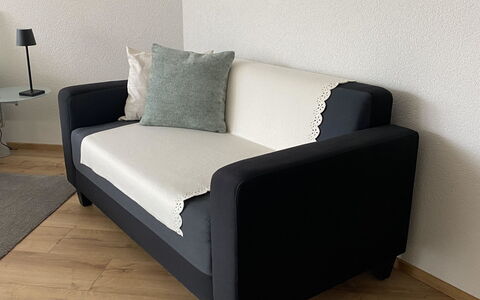 Haus Saturn: Cushion, Couch, Throw Pillow, Pillow, Living Room, Linens, Sofa Bed, Futon, Armrest