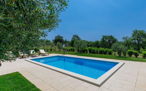Blog 1: Water, Property, Swimming Pool, Sky, Azure, Plant, Rectangle, Shade, Body Of Water, Grass