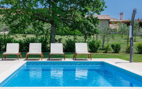 Blog 1: Water, Plant, Property, Swimming Pool, Green, Nature, Azure, Rectangle, Sky, Shade