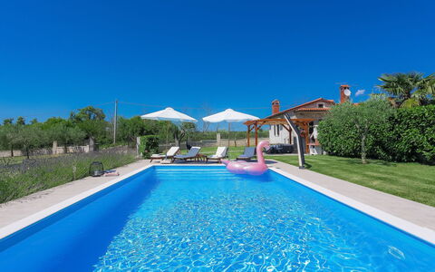 Blog 2: Water, Plant, Sky, Swimming Pool, Property, Building, Nature, Azure, Blue, Shade