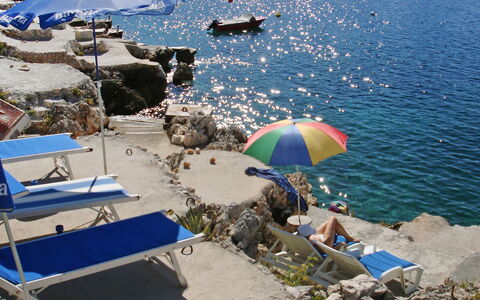 Carmen: Umbrella, Vacation, Beach, Tourism, Sea, Coast, Water, Summer, Tree