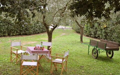 Casetta Ponticelli: Table, Furniture, Outdoor Table, Grass, Tree, Yard, Lawn, Backyard, Garden, Outdoor Furniture