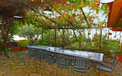 'O Pignatiello: Tree, Table, Leaf, Room, Furniture, Botany, House, Plant, Patio, Autumn