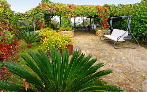 'O Pignatiello: Vegetation, Flower, Plant, Garden, Botany, Agave, Xanthorrhoeaceae, Plant Community, Landscape, Grass