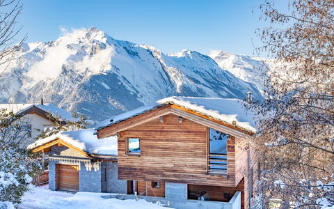 Nendaz 654: Sky, Snow, Mountain, Property, Building, Natural Landscape, House, Slope, Window, Tree