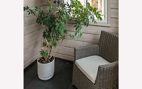 Tervaharju: Wood, Siding, Cottage, House, Home, Plank, Garden Buildings, Log Cabin, Hardwood, Porch