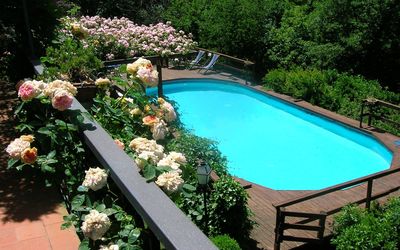 Roseto - Donnini, Tuscany, Italy