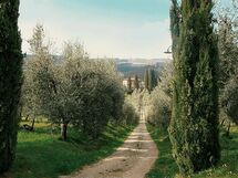 Villa Cerchi