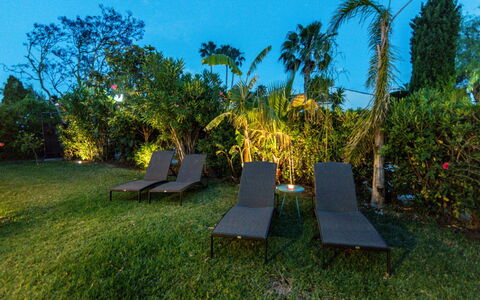 Cofitsa: Nature, Tree, Sky, Property, Wilderness, Grass, Botany, Biome, Furniture, Leaf